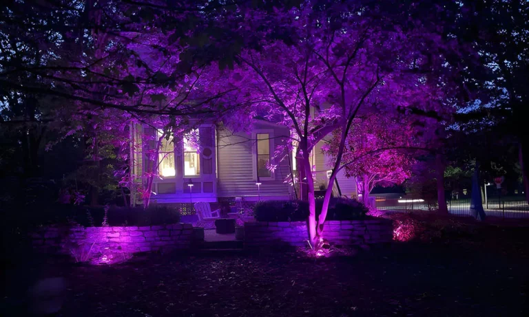 Purple LED outdoor lighting illuminating trees and front yard landscaping of a residential home