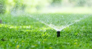 A pop-up sprinkler sprays water across a lush green lawn on a bright summer day.