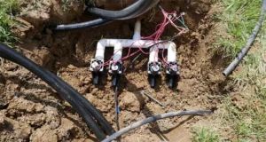 Exposed underground sprinkler valve wiring during irrigation system repair in Cincinnati lawn