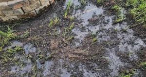 https://expertsvc.com/are-you-overwatering-or-underwatering-your-lawn-signs-you-need-a-sprinkler-system-upgrade-or-irrigation-service-in-cincinnati/