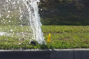 Broken lawn sprinkler head spraying water uncontrollably on grass near curb, showing need for irrigation repair and maintenance in Hebron, KY.
