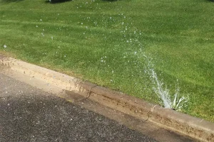 Broken sprinkler head leaking water onto a street curb in Cincinnati, showing common irrigation system problems caused by low water pressure.