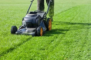 A person mowing a lush green lawn as part of a professional lawn care and maintenance service in Kentucky.