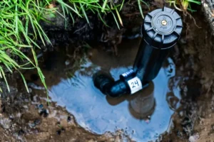 A close-up view of a leaking underground sprinkler head surrounded by muddy water, showing a clear irrigation system issue causing pooling water and poor drainage in a lawn.