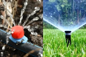 Close-up of drip irrigation system watering plant roots and traditional lawn sprinkler spraying grass, showing difference between drip irrigation and sprinkler systems for water efficiency