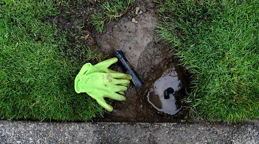 Gloves put on the lawn after Sprinkler Systems Repair