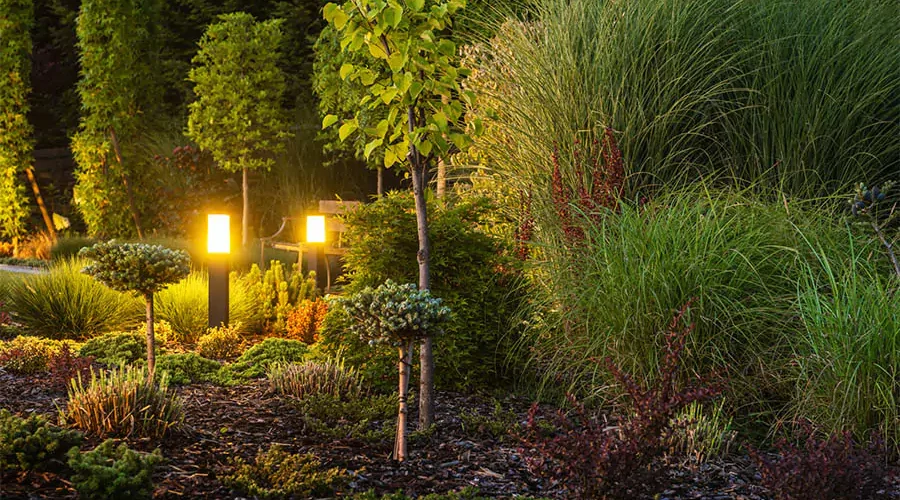 landscape lighting installed by Expert Irrigation team in Houston, TX