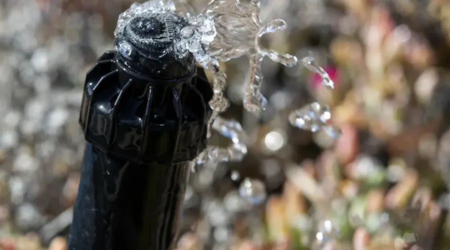 Cracked sprinkler head leaking water after winter freeze damage in Kentucky irrigation system showing uneven spray and potential pipe issues