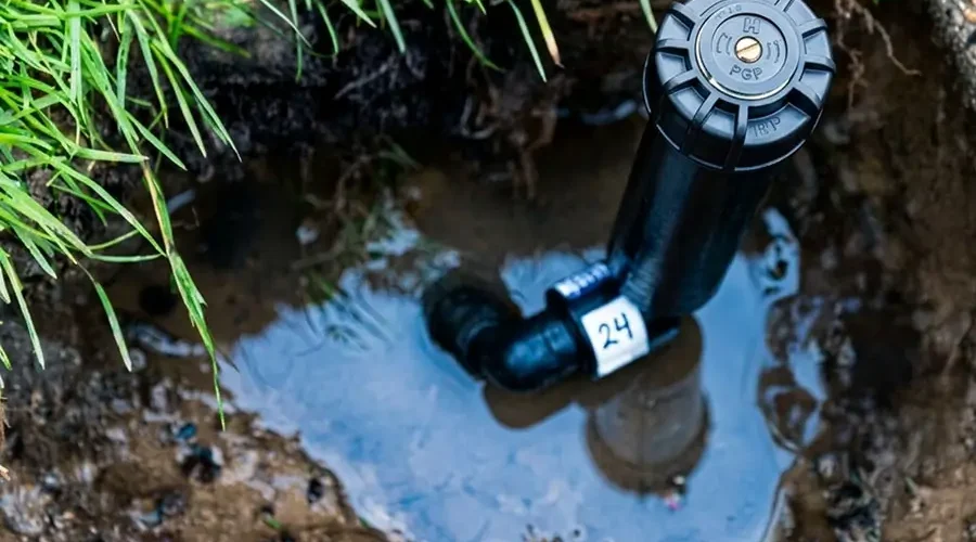 A close-up view of a leaking underground sprinkler head surrounded by muddy water, showing a clear irrigation system issue causing pooling water and poor drainage in a lawn.