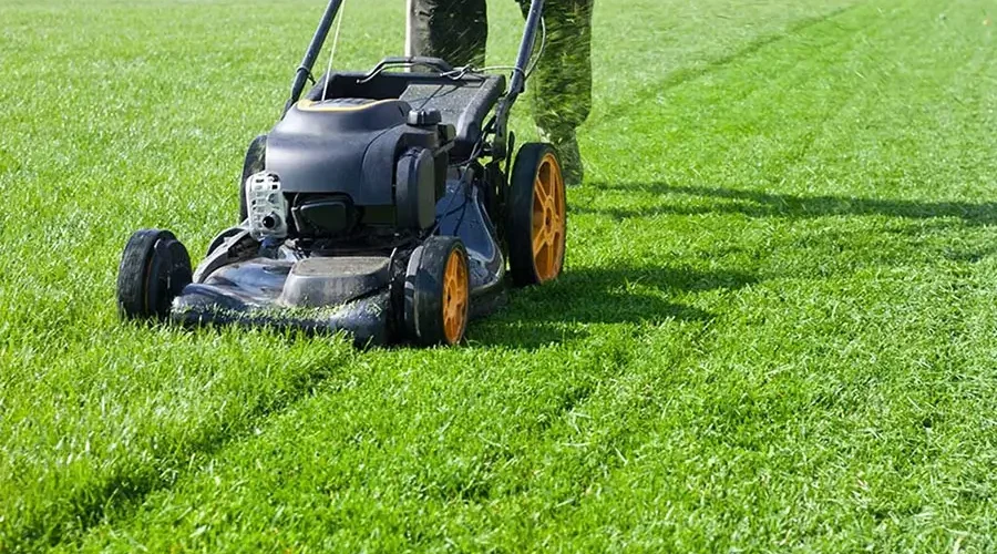 A person mowing a lush green lawn as part of a professional lawn care and maintenance service in Kentucky.
