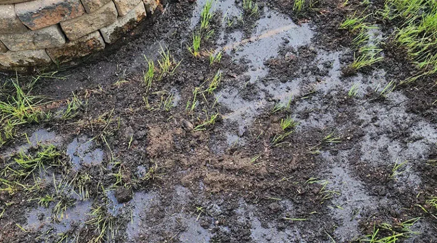 https://expertsvc.com/are-you-overwatering-or-underwatering-your-lawn-signs-you-need-a-sprinkler-system-upgrade-or-irrigation-service-in-cincinnati/