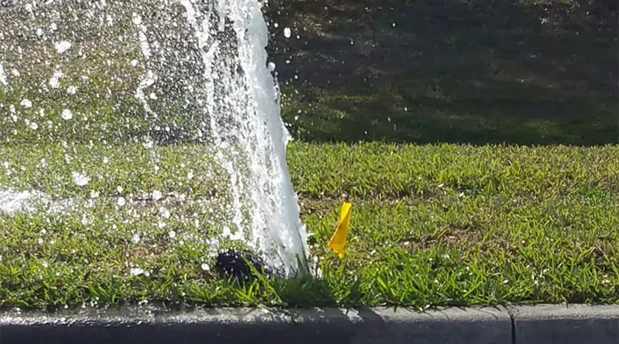 Broken lawn sprinkler head spraying water uncontrollably on grass near curb, showing need for irrigation repair and maintenance in Hebron, KY.