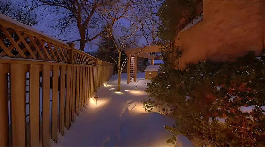 Winter landscape with upgraded lighting in Cincinnati, showcasing illuminated pathways and trees.