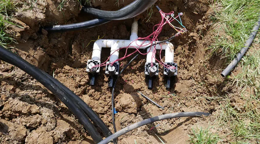 Exposed underground sprinkler valve wiring during irrigation system repair in Cincinnati lawn