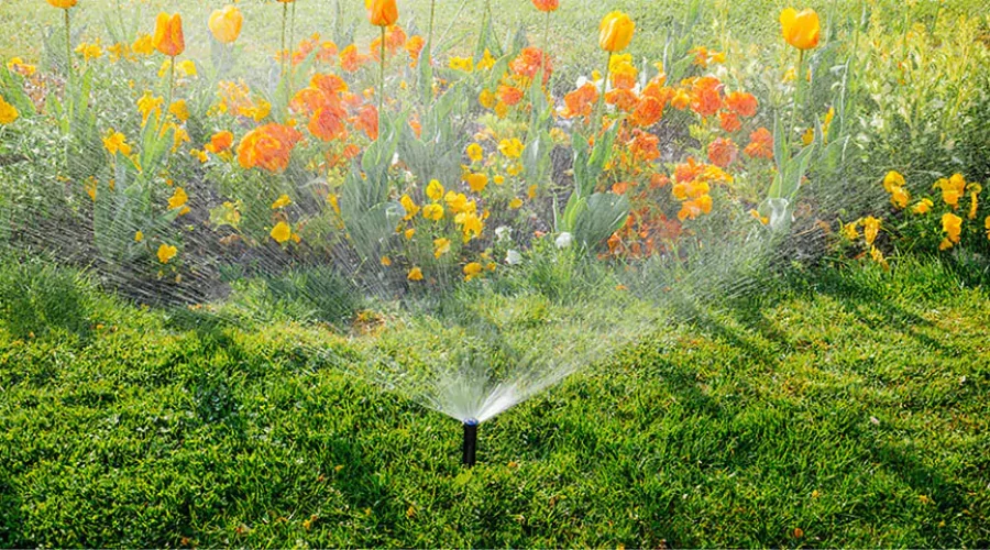Sprinkler system efficiently watering vibrant green lawn and blooming orange and yellow spring flowers, illustrating effective springtime yard drainage solutions in Cincinnati."