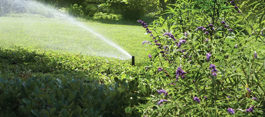Water lawn by sprinkler system - Irrigation Services
