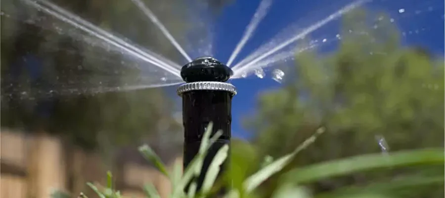 Watering a lawn with an installed irrigation system
