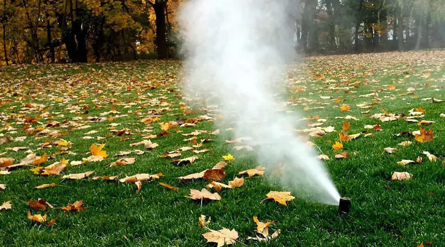 Sprinkler winterization on a Landscape with many leaves